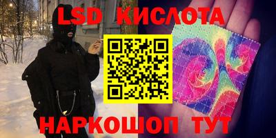PSILOCYBIN Заводоуковск