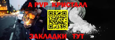 PSILOCYBIN Заводоуковск
