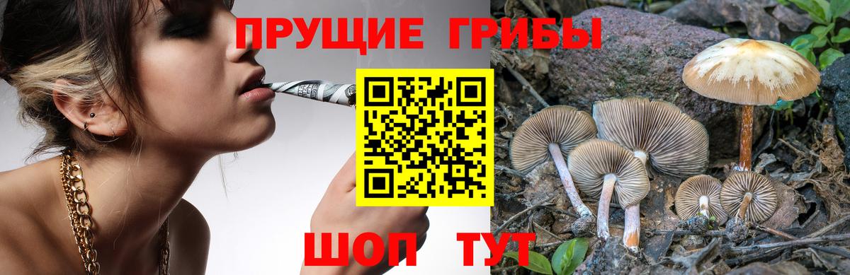 Галлюциногенные грибы мицелий  Вход с VPN  Кыштым 
